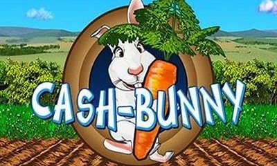 Cash Bunny