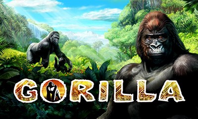 Gorilla