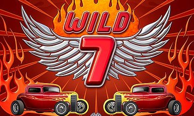 Wild 7